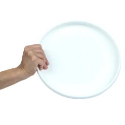 Plastic Ultimate Disc - Surf Illustration -Outdoor Camping Shop k6abadd68bd21e02f4eeb8232e0eaab0c