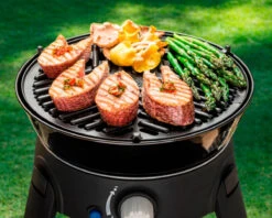 Cadac BBQ Grid 30 -Outdoor Camping Shop k99ed97a2ecfce9685eca27d9856eb126